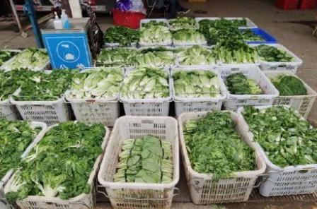 2022年北京冬奥会里的塑料新材料!